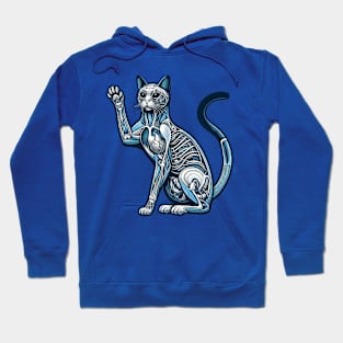 cat anatomy Hoodie